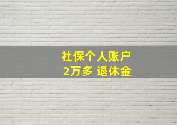 社保个人账户2万多 退休金